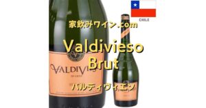 Valdivieso top_001