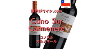 Cono Sur Carmenere top_003