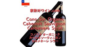 Cono Sur Organic top_002